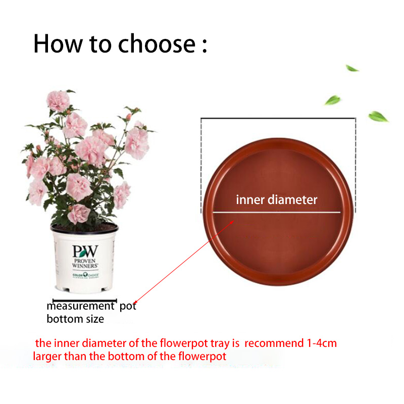 10pcs Plastic Flower Pot Tray  - Drip Tray Saucer review and price