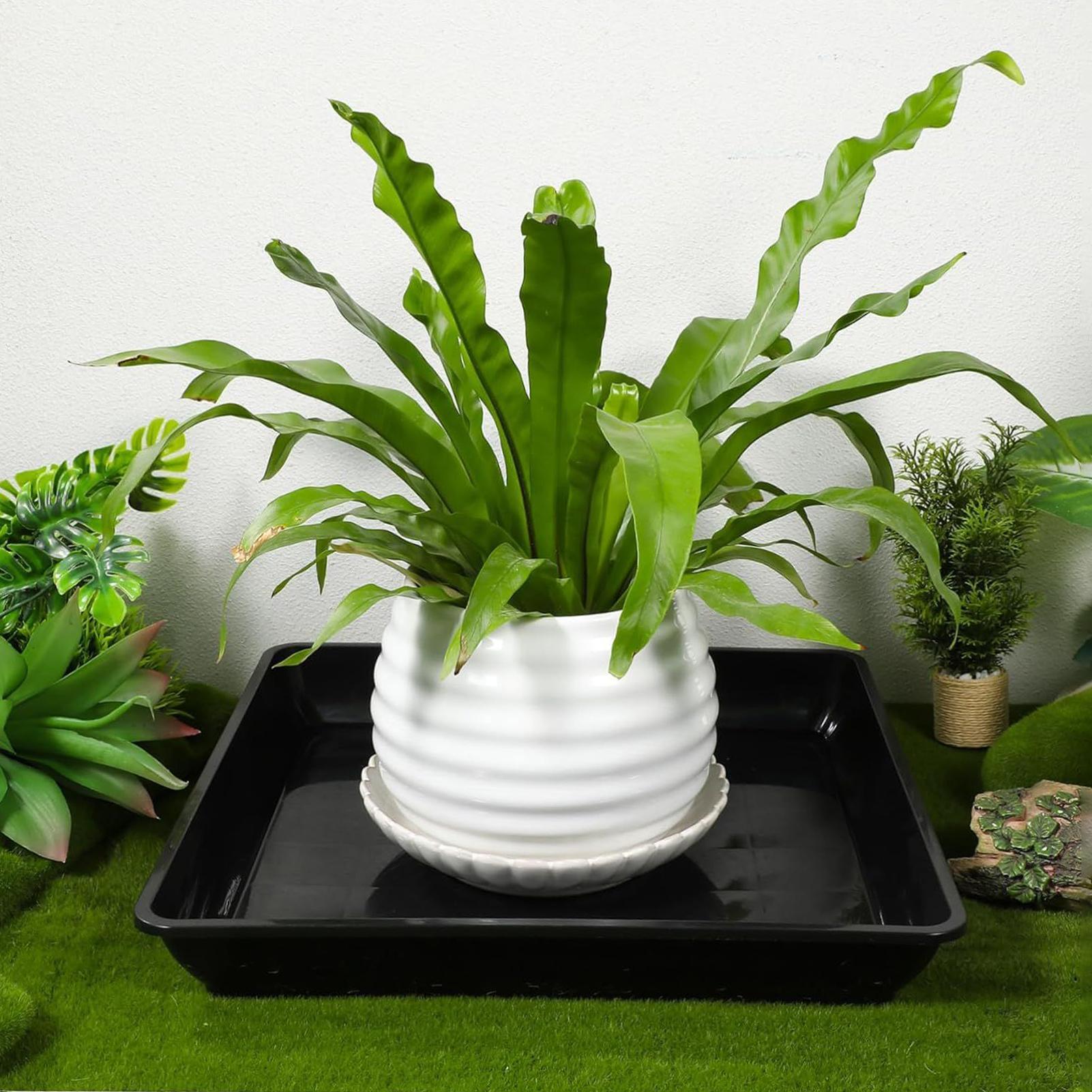 Flower Pot Trays 2Pcs/set Gard - Drip Tray Saucer review and price